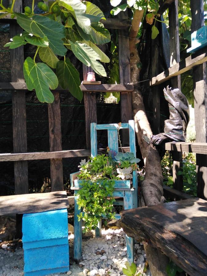 Turismo Rural Casa Da Ceu Amiais de Cima Εξωτερικό φωτογραφία