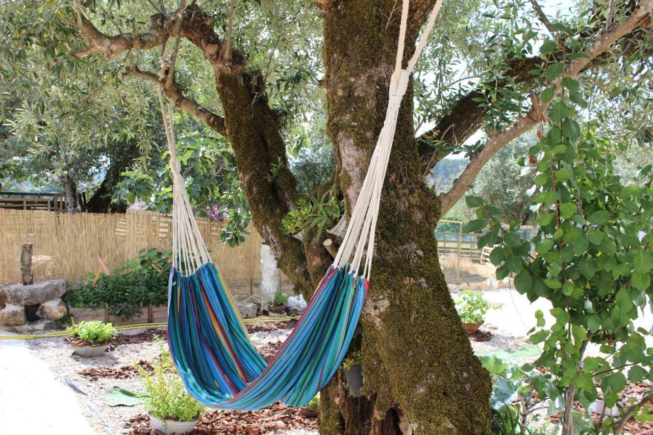 Turismo Rural Casa Da Ceu Amiais de Cima Εξωτερικό φωτογραφία