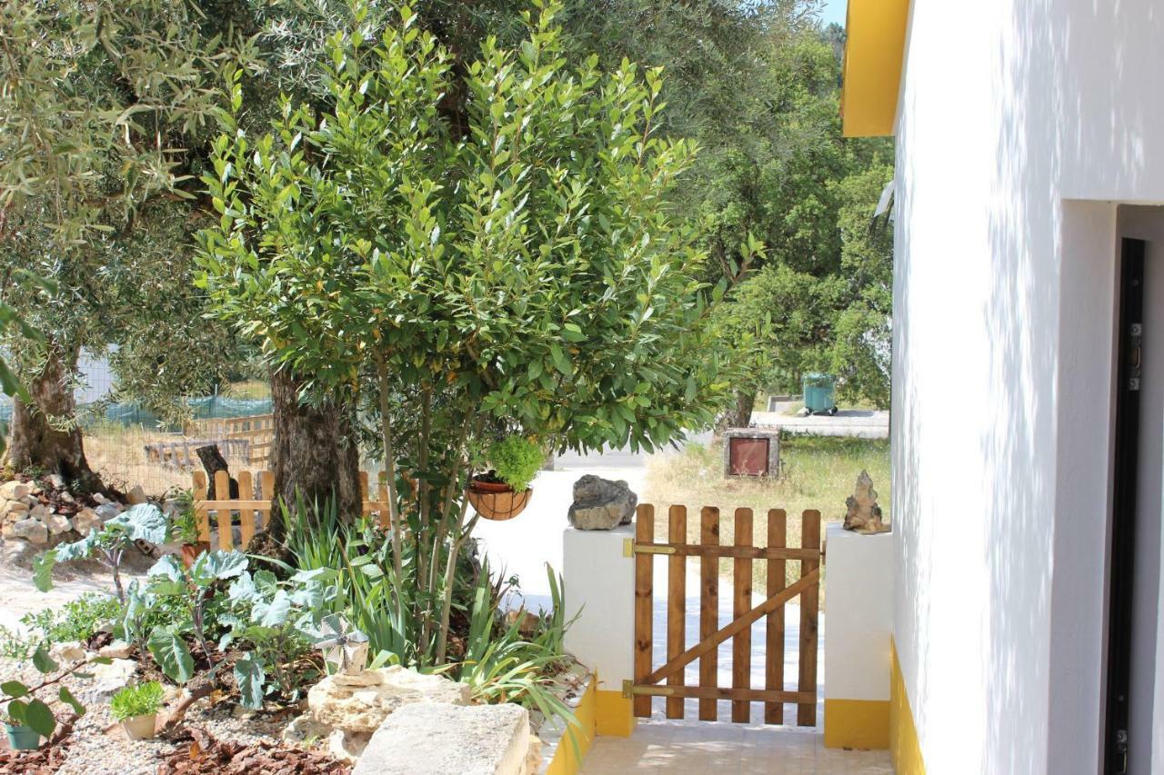 Turismo Rural Casa Da Ceu Amiais de Cima Εξωτερικό φωτογραφία