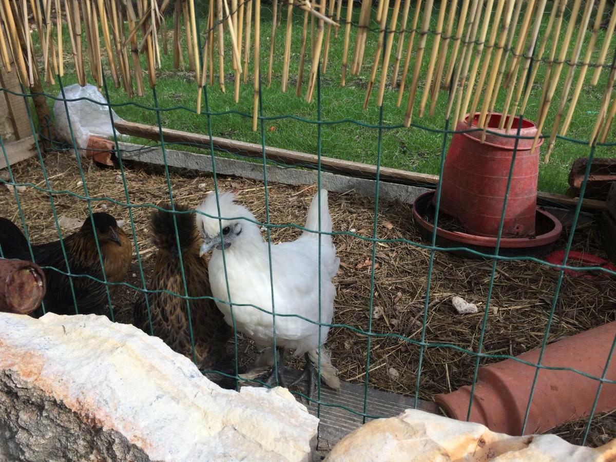 Turismo Rural Casa Da Ceu Amiais de Cima Εξωτερικό φωτογραφία